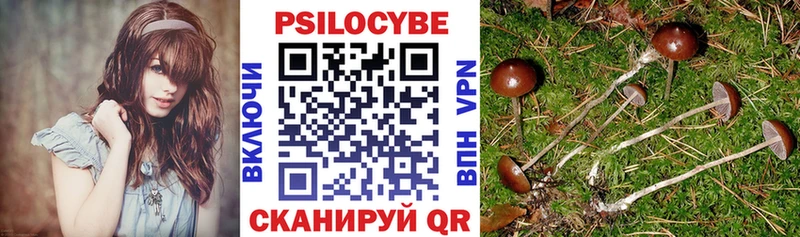 Купить  Кировск  Псилоцибиновые грибы прущие грибы 