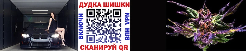 Купить где  Кировск  Конопля семена 